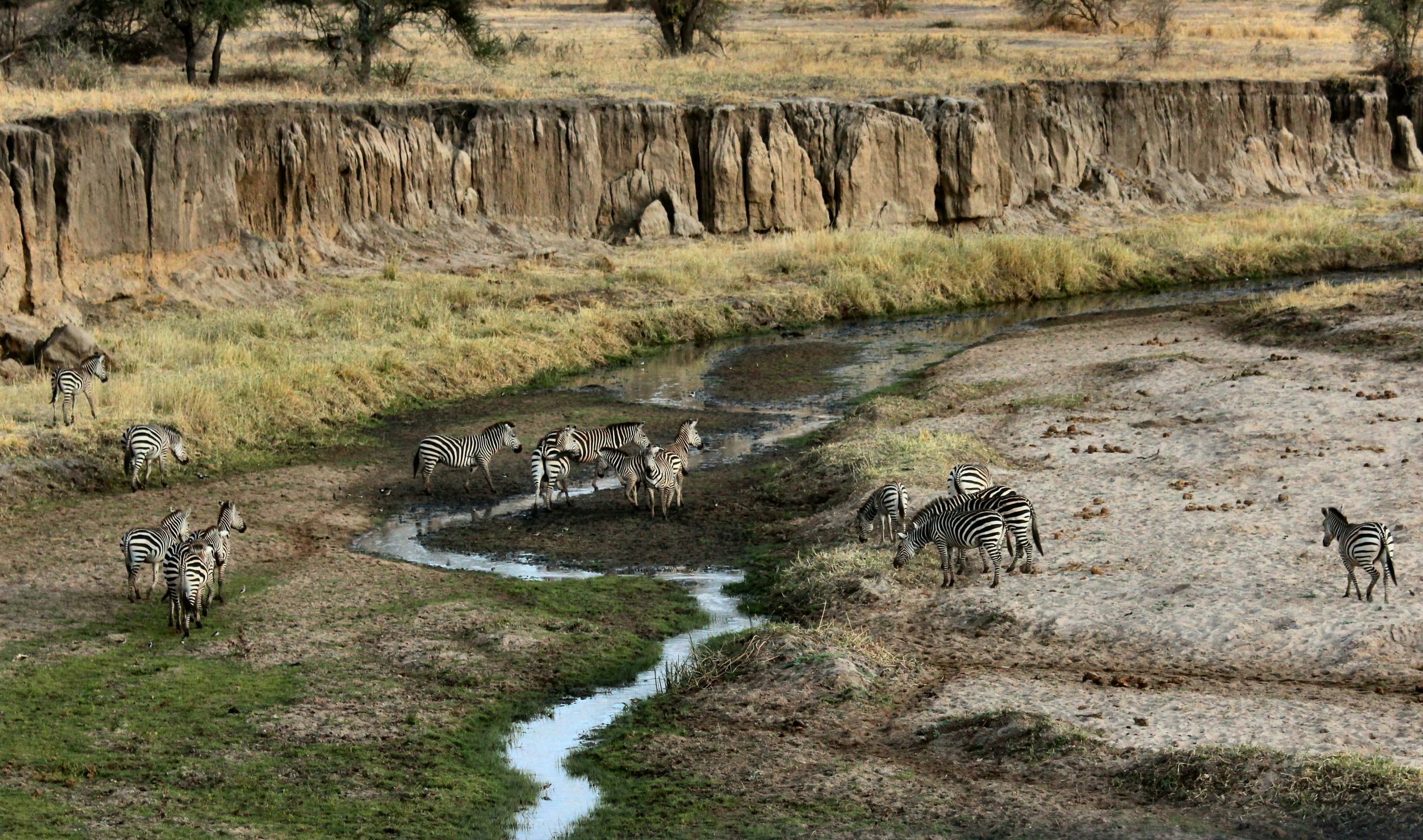 Yacht Charter Tanzania