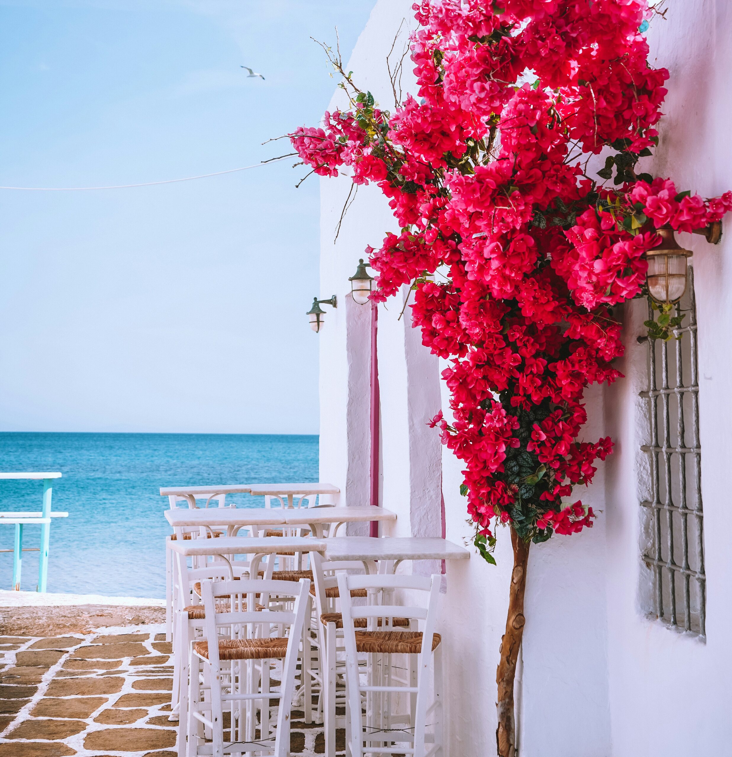 yacht charter Paros