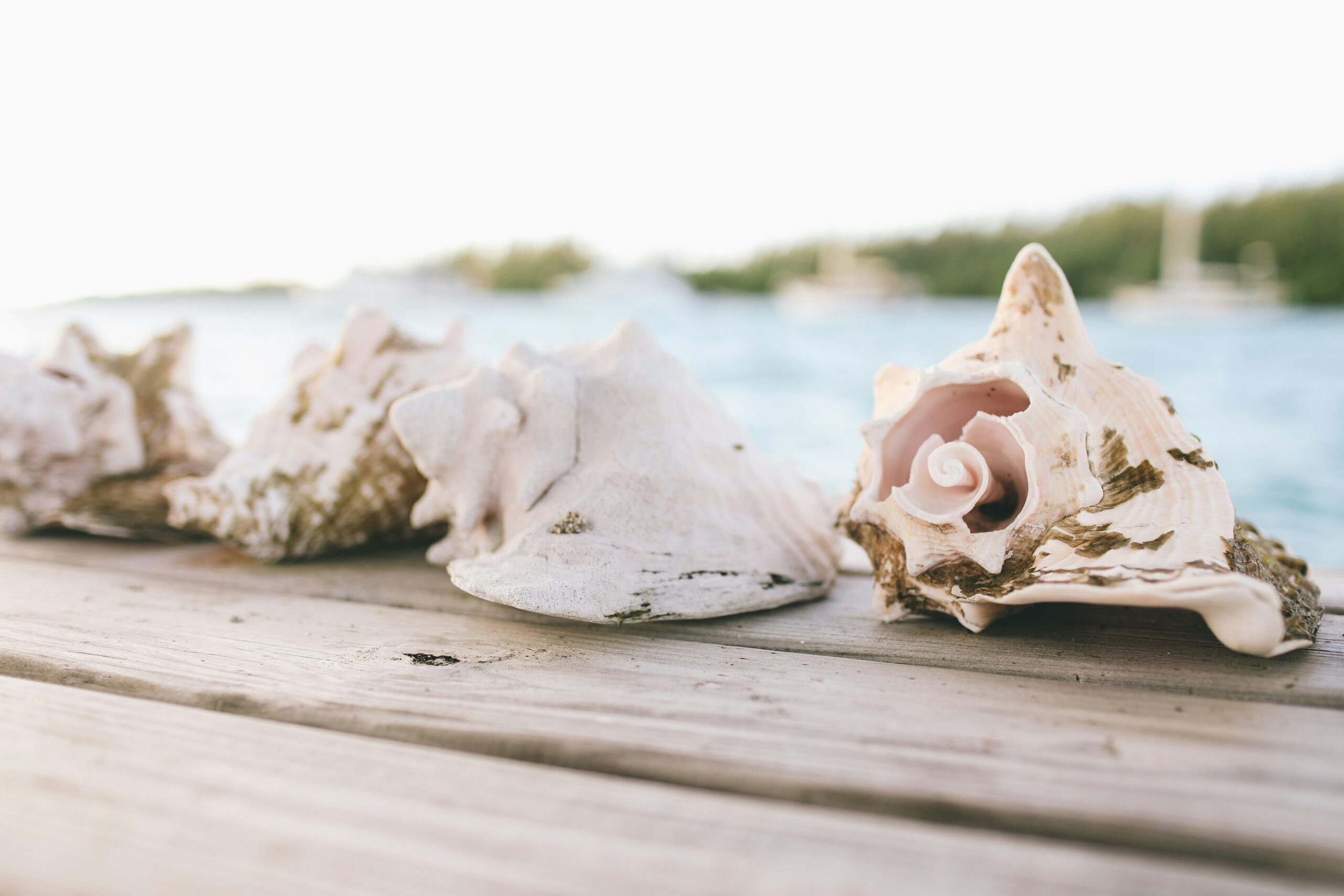 Eleuthera Yacht Charter